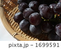 1699591