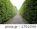 まっすぐな道