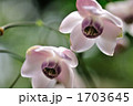 1703645