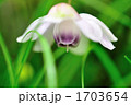 1703654