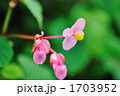 1703952