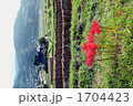 能勢の里の茅葺屋根のある風景