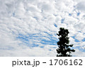ちぎれ雲