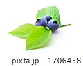 ブルーベリー