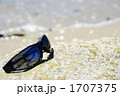 サングラス