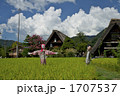 夏の白川郷