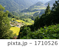 長野県長野市郊外の棚田