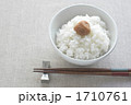 白い御飯と梅干し