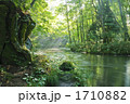 朝日の差し込む奥入瀬川 石ヶ戸の瀬