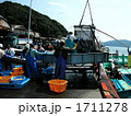 定置網で捕った魚を水揚げしています