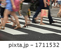 横断歩道1