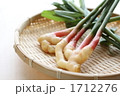 葉生姜