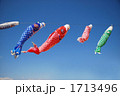 鯉のぼり