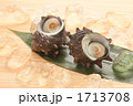 さざえ