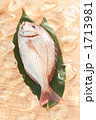 鯛