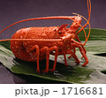 伊勢海老