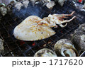 イカ焼き
