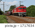 新緑とEF81 95