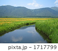 尾瀬