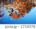 1719378