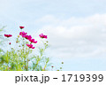 1719399