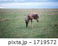 1719572