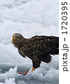 1720395