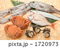 海産物集合