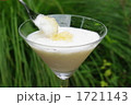 ヨーグルト