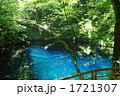 夏の青池