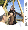 1723068
