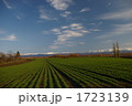 1723139