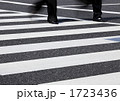 スピード感