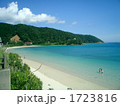奄美大島北部の倉崎海岸