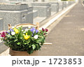 墓参り