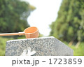 墓参り