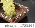 葡萄