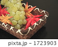 葡萄