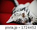1724452