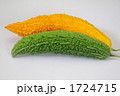 黄色に熟れたゴウヤ