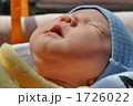 日向ぼっこ中の慧大