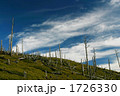快晴の大台ケ原