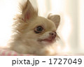 眼差し