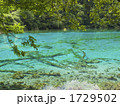 五花海