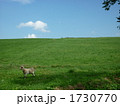 何かありましたか？