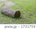 エコイメージ