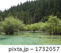 盆景池
