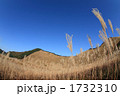 曽爾高原