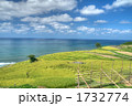 白米千枚田(HDR)