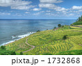 白米千枚田(HDR)
